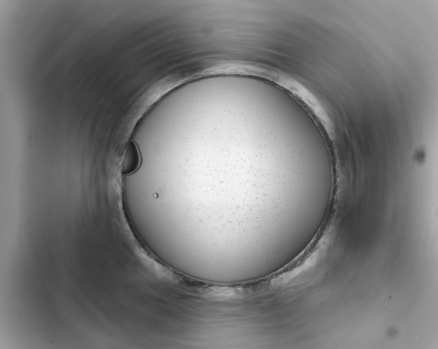 X0000102361049200808151808