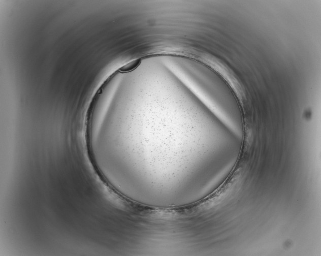 X0000102361050200808151808