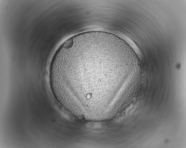 X0000102361051200808151808