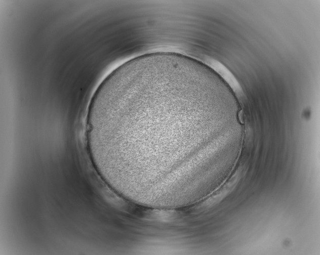 X0000102361052200808151809