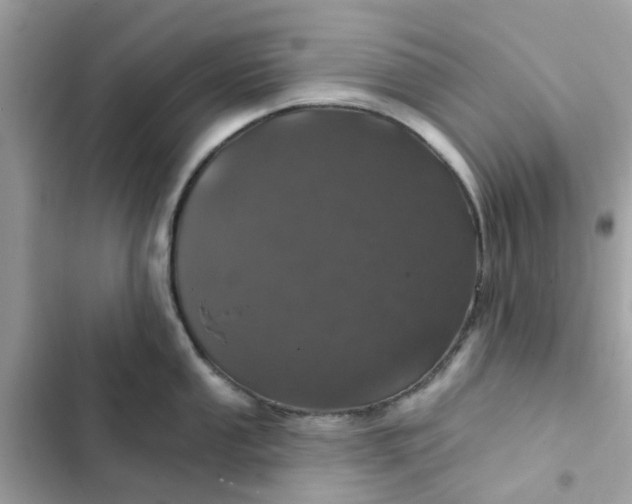 X0000102361053200808151809