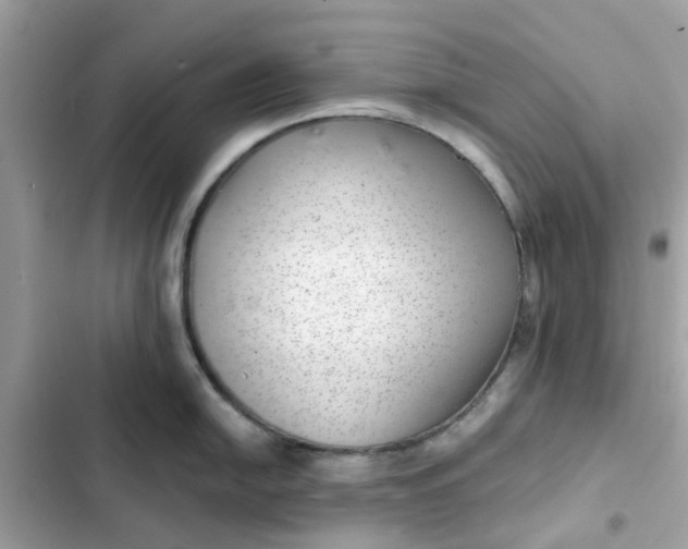 X0000102361054200808151809