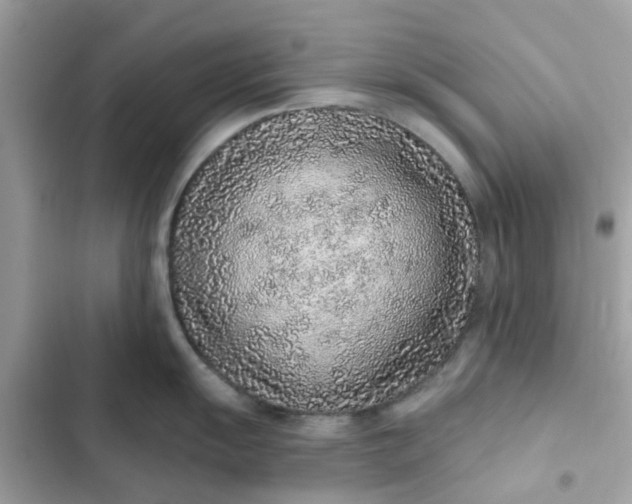 X0000102361055200808151809