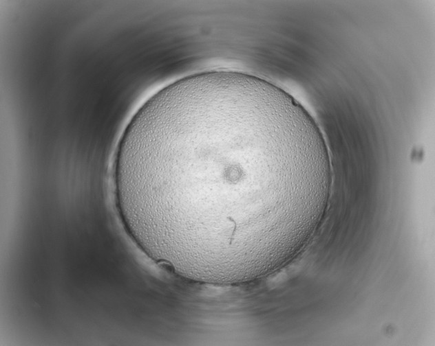 X0000102361056200808151809