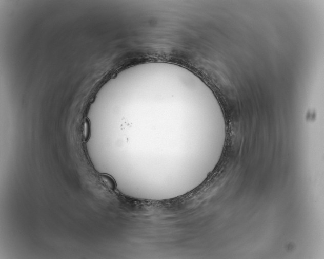 X0000102361057200808151808