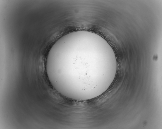 X0000102361058200808151808