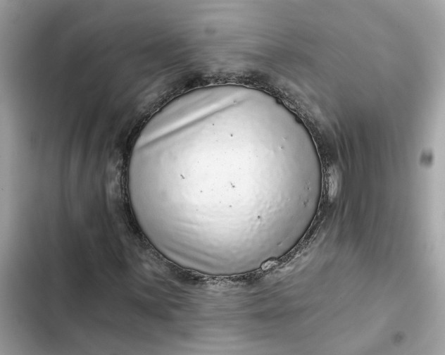 X0000102361059200808151808