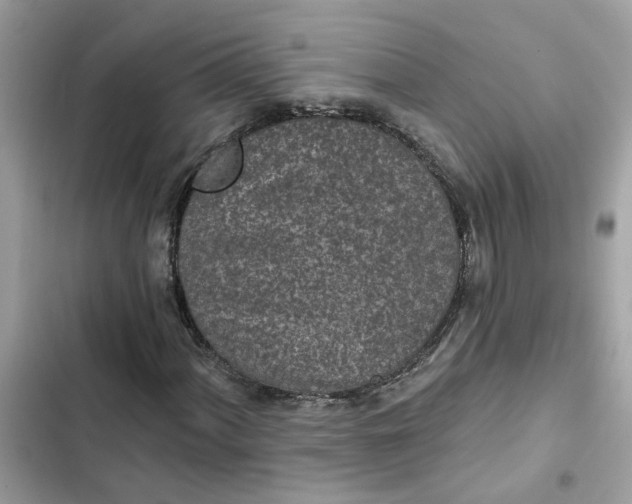 X0000102361060200808151808