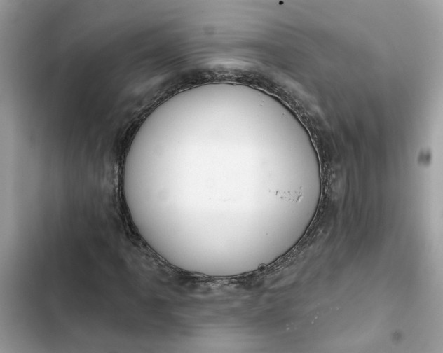 X0000102361061200808151808