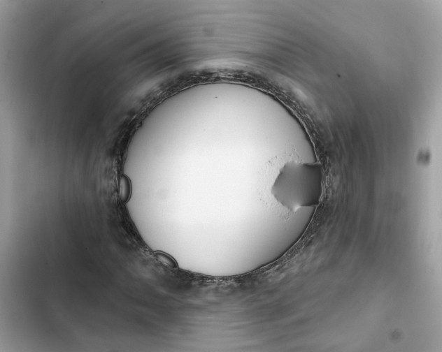 X0000102361062200808151808