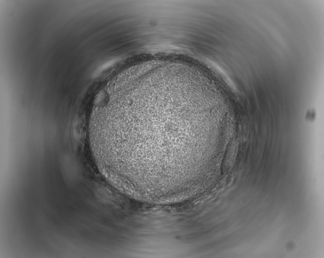 X0000102361063200808151808