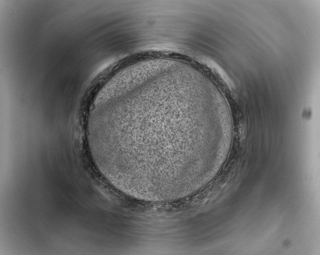 X0000102361064200808151808