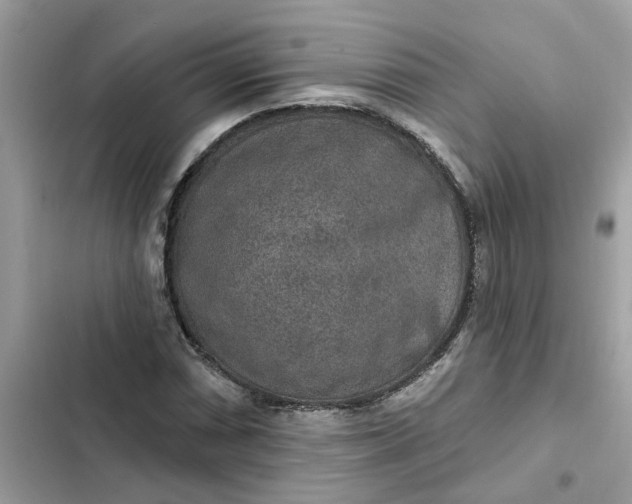 X0000102361066200808151808