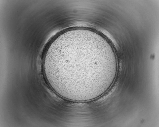 X0000102361067200808151808