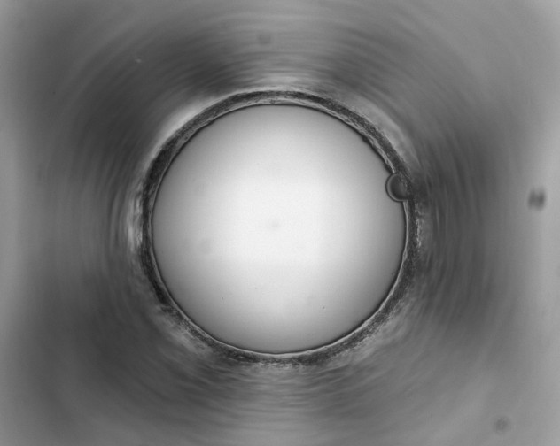 X0000102361069200808151808