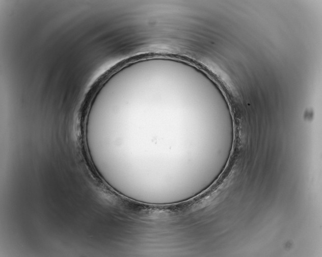 X0000102361070200808151808