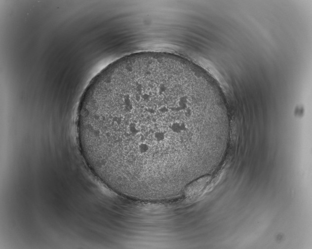 X0000102361071200808151808