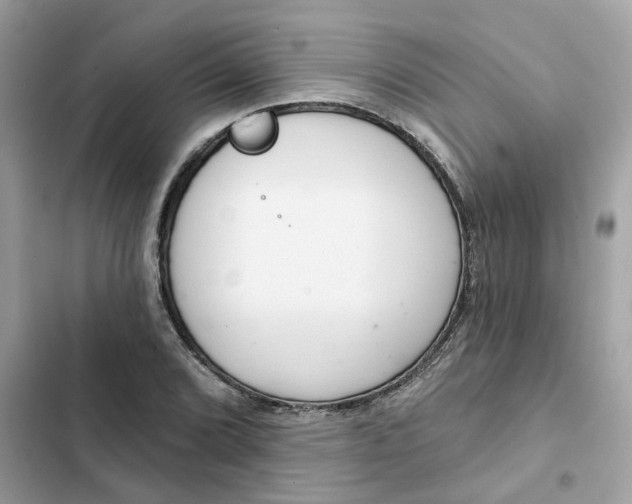 X0000102361072200808151808