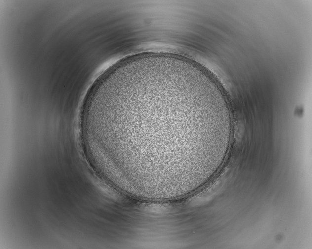 X0000102361074200808151808