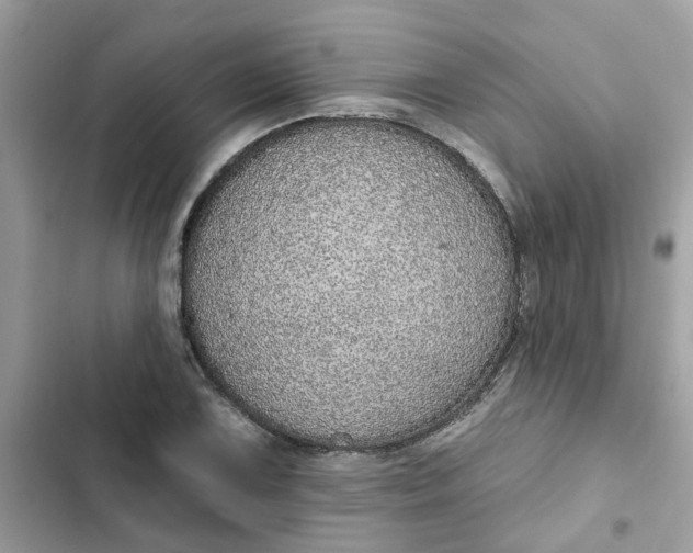 X0000102361075200808151808