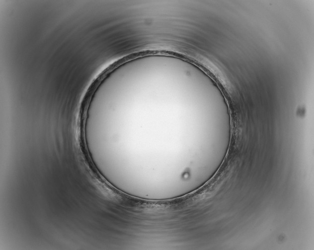 X0000102361076200808151808