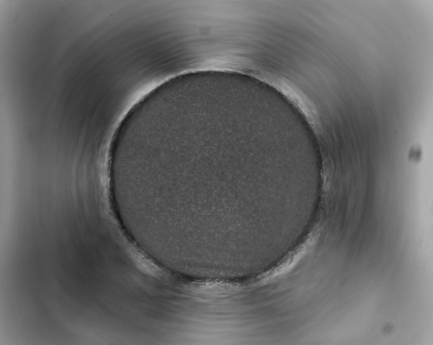 X0000102361077200808151808