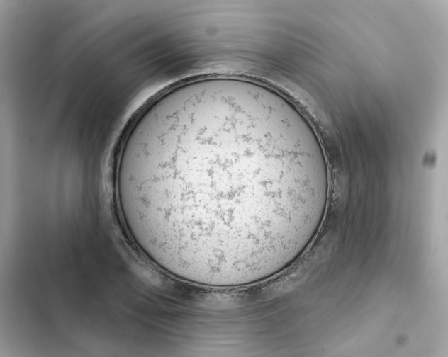 X0000102361078200808151808