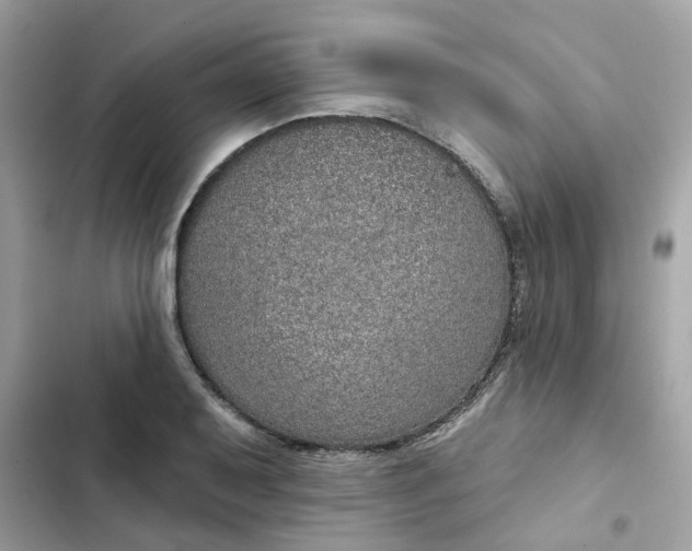 X0000102361079200808151808