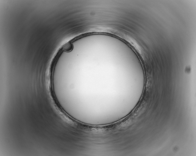 X0000102361080200808151808