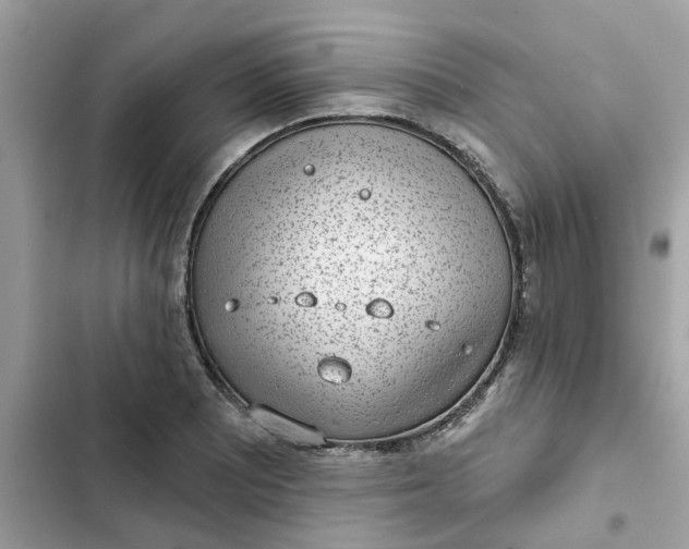 X0000102361081200808151808