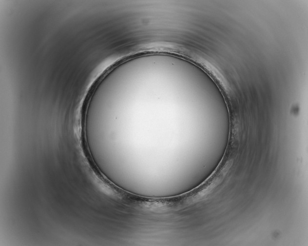 X0000102361082200808151808