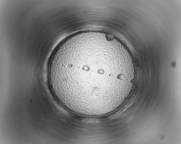 X0000102361083200808151808