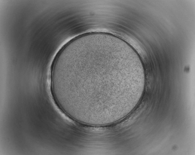 X0000102361084200808151808