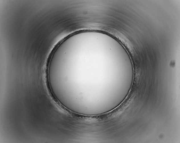 X0000102361085200808151808