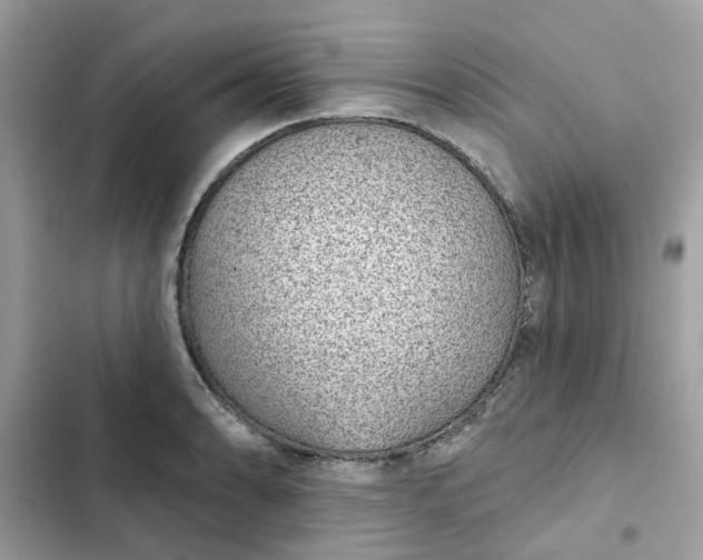 X0000102361086200808151808