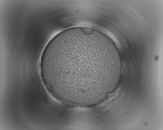 X0000102361087200808151807