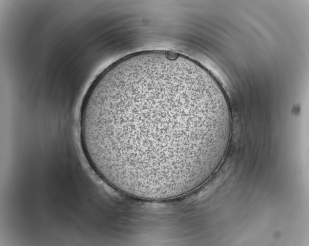 X0000102361088200808151807