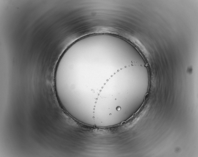 X0000102361089200808151807