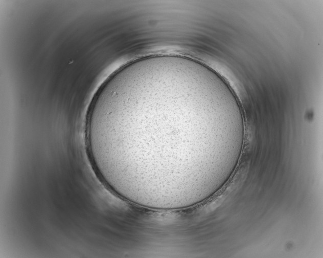 X0000102361090200808151807