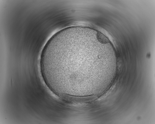 X0000102361091200808151807