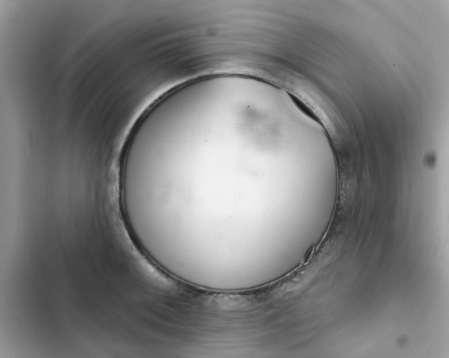 X0000102361092200808151807