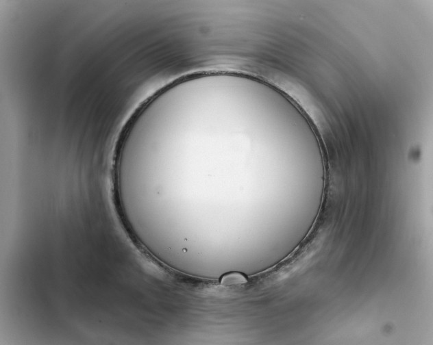 X0000102361093200808151807