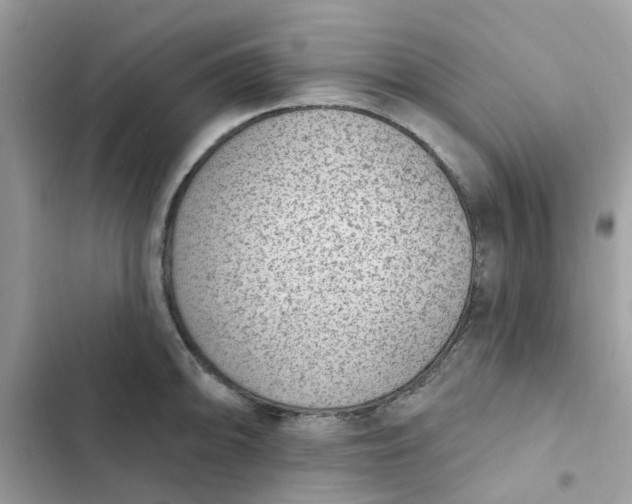 X0000102361094200808151807