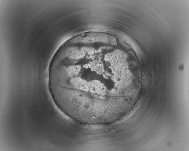 X0000102361095200808151807