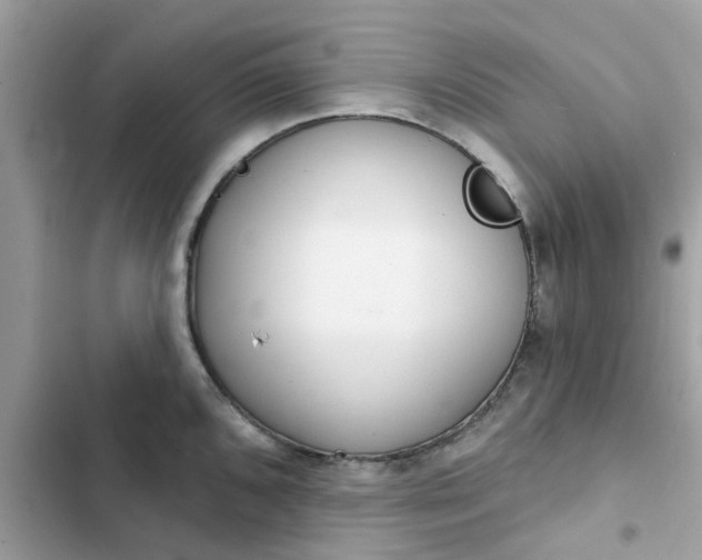 X0000102361096200808151807