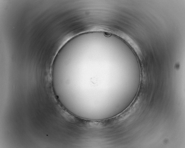 X0000102361097200808151807