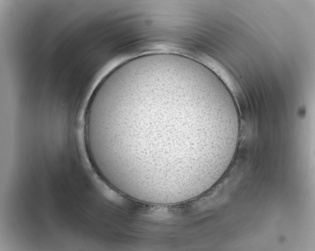 X0000102361098200808151807