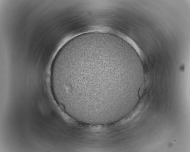 X0000102361099200808151807