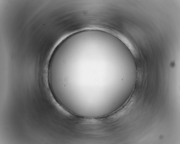 X0000102361100200808151807