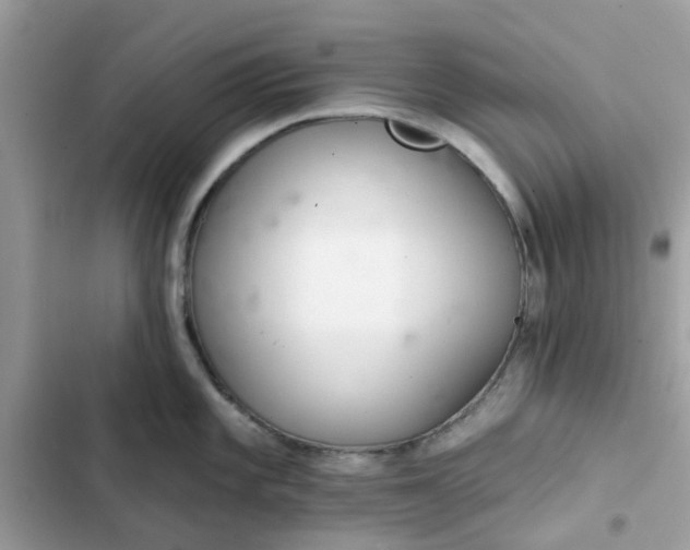 X0000102361101200808151807